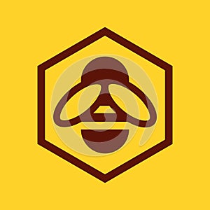 Bee and honeycomb icon photo