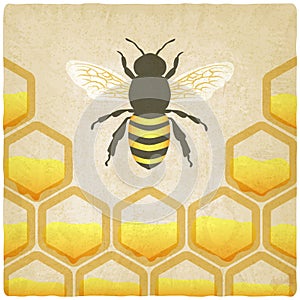 Bee honeycomb old background