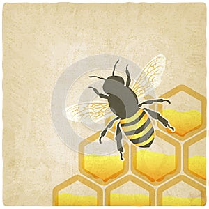 Bee honeycomb old background