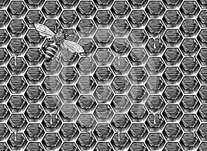 Bee Honeycomb Pattern Background Honey Drawing