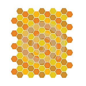 Bee honeycomb pattern, Vector backgrounds