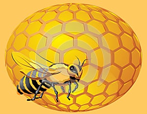 Bee with honeycomb sphere