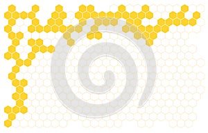 Bee honeycomb vector background honey illustration. Beehive honeycomb vector abstract cartoon pattern design