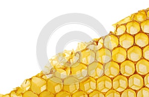 Bee honeycomb wax