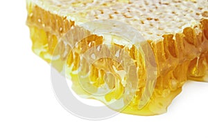 Bee honeycombs with honey