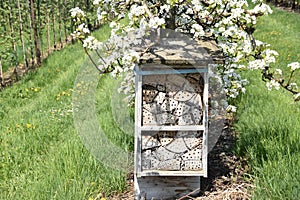 Bee hotel alongside an orchard