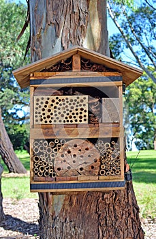 Bee hotel for solitary native bees