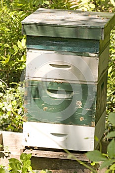 Bee House