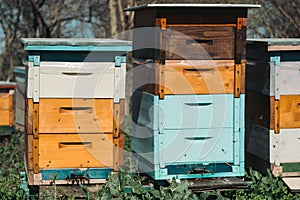 Bee house, beehive, bees, apiary, beekeeping