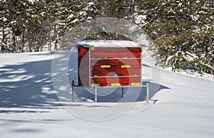 Bee house in snow.
