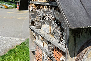 Bee house wood close up view
