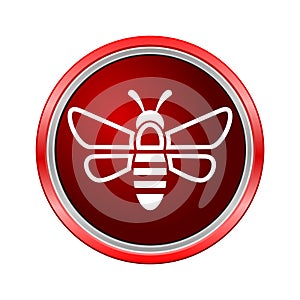 Bee icon, Internet button on white background