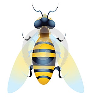 Bee