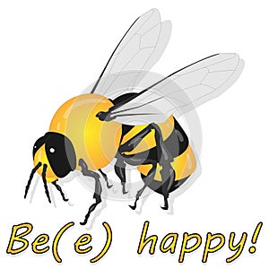 Bee illustration - vector text quotes and bee drawing. Lettering poster or t-shirt textile graphic design