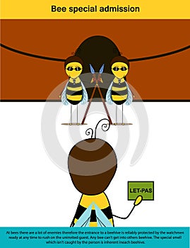 Bee infographics (admission)