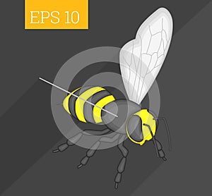 Bee isometric vector illustration