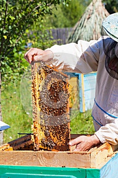 Bee-keeper holds in hand a frame with honey