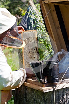 Bee-keeper smokes bees from a beehive a smoke by means