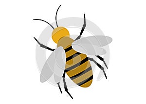 bee for kid coloring book icon cartoon.