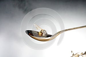 Bee licking spoon on honey and sticking