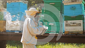 Bee-maker beekeeper man working of a smoke pipe beeper lifestyle smoker device for repelling evil bees. slow motion