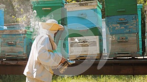 Bee-maker beekeeper man working of a smoke pipe lifestyle beeper smoker device for repelling evil bees. slow motion