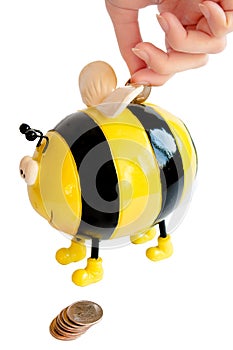 Bee moneybox photo
