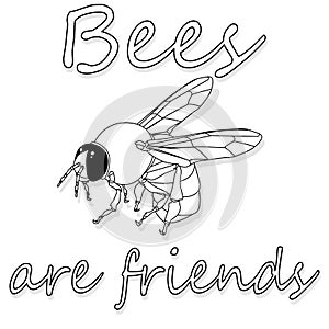 Bee monochrome illustration - vector text quotes and bee drawing. Lettering poster or t-shirt textile graphic design set