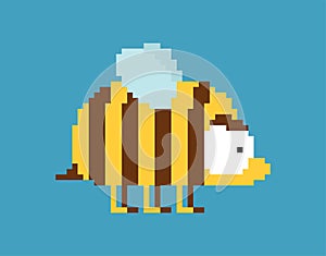 Bee pixel art 8 bit. pixelated honeybee 8bit vector illustration