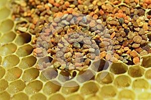 Bee pollen