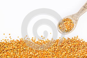 Bee pollen grains - Top view