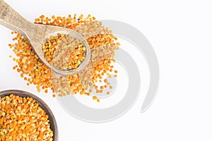 Bee pollen grains - Top view
