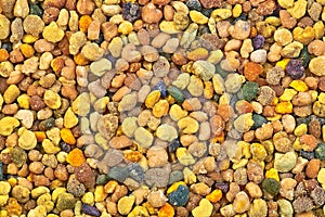 Bee pollen macro