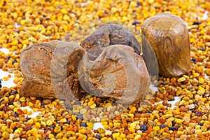 Bee pollen and propolis