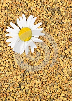 Bee pollen stands in a pile. Contains almost all of the nutrients required by the human body to thrive.