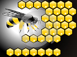 Bee poster vector