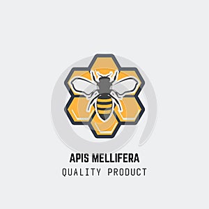 Bee realistic honeycomb emblem