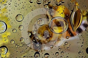 A bee seen through a glass full of water drops.