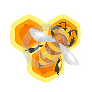 Bee sitting on the honeycomb