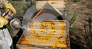 Bee smoker, a beekeeping basic equipment