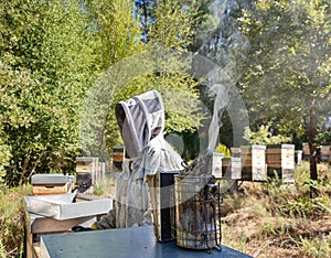 Bee smoker, a beekeeping basic equipment