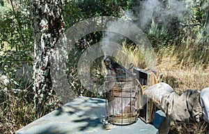 Bee smoker, a beekeeping basic equipment