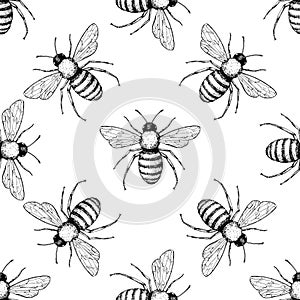 Bee vector seamless pattern. Hand drawn insect background.