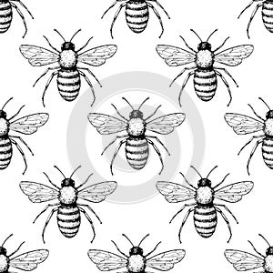 Bee vector seamless pattern. Hand drawn insect background.