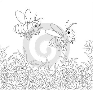 Bee and Wasp