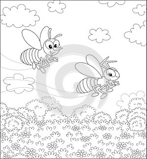 Bee and Wasp flying over a field