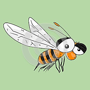 Bee, wasp hand drawn. Vector of a wasp, bee. Icon bee