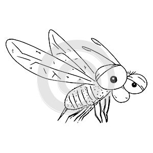 Bee, wasp hand drawn. Vector of a wasp, bee. Icon bee