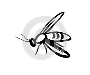 Bee, wasp, mosquito - flat illustration isolated on white background in dudule style. insect - sketch