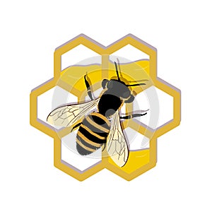 Bee work on honeycombs. Vector illustration. Icon, isolated on the white background, logo. EPS 10